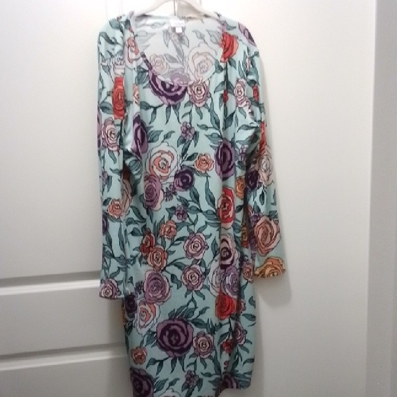 Lularoe Floral Long Sleeve Dress - Picture 1 of 4